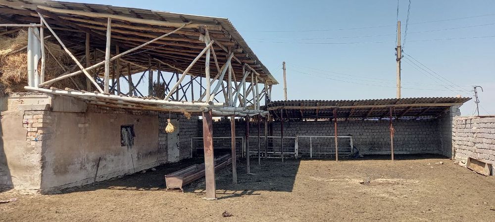 Продам ДАЧУ срочно 20000, цена договорная