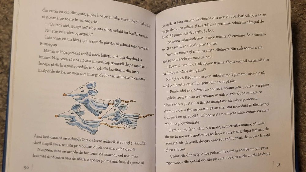 „Duminică și alte povestiri cu Iosifel” – Lavinia Braniște  (ed. Arthur)