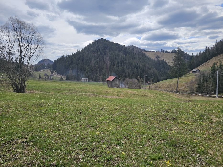 Teren de vanzare in Bucovina Fundu Moldovei