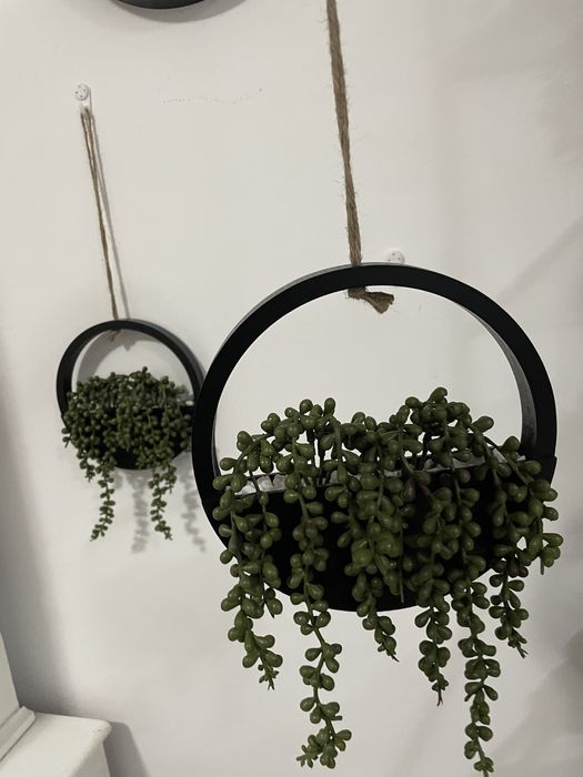 Decor plante suspendat