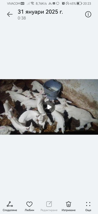 Ярета сукалчета ББМ мъжки 20 лв