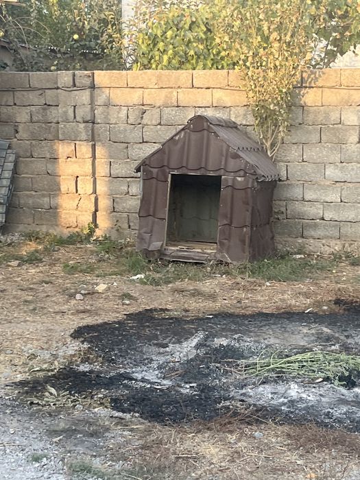 Домик для собаки