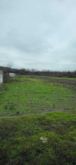 Teren Intravilan Pelendava