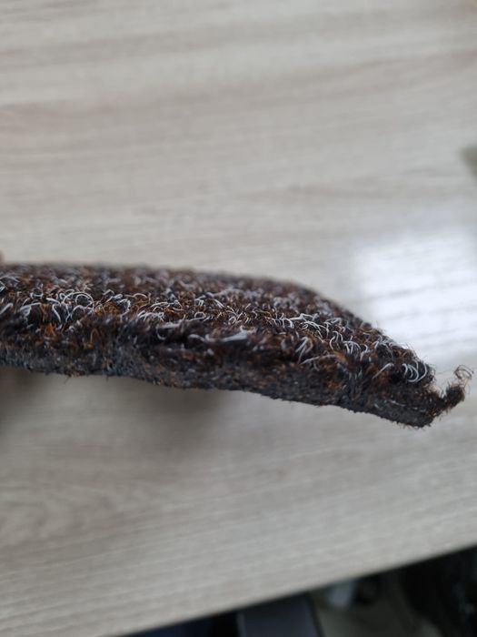 Ворсовые покрытия. ковролин. ковролан.ковер. от 4200тг м2.