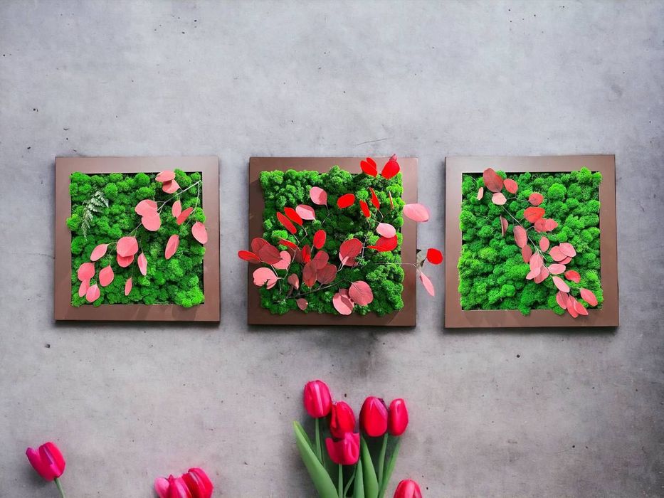 Вертикальное озеленение , живые стабилизированные растения