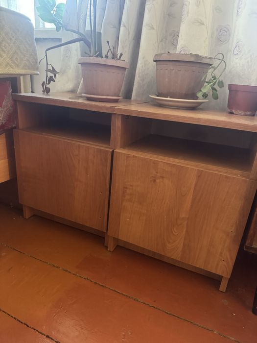 Отдам даром Талдыкорган