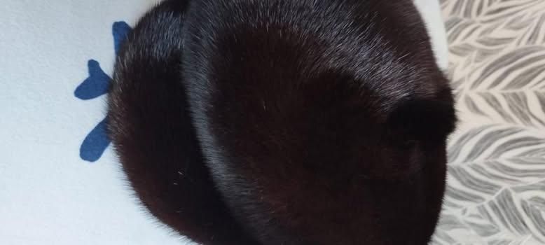 Продам норковую шапку