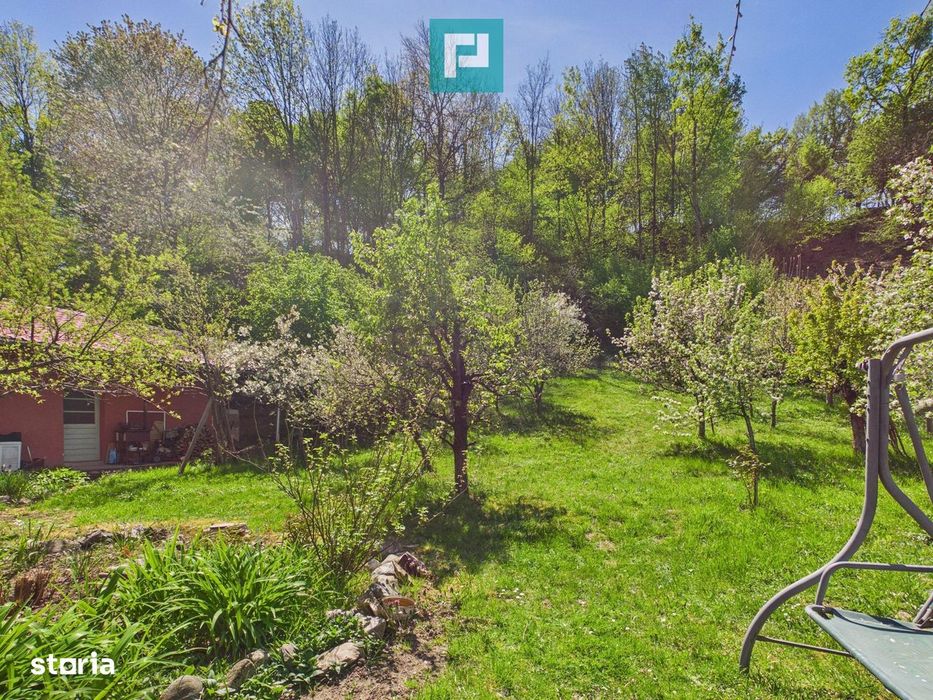 Casă Câmpani, 8000 mp teren, la poalele Apusenilor