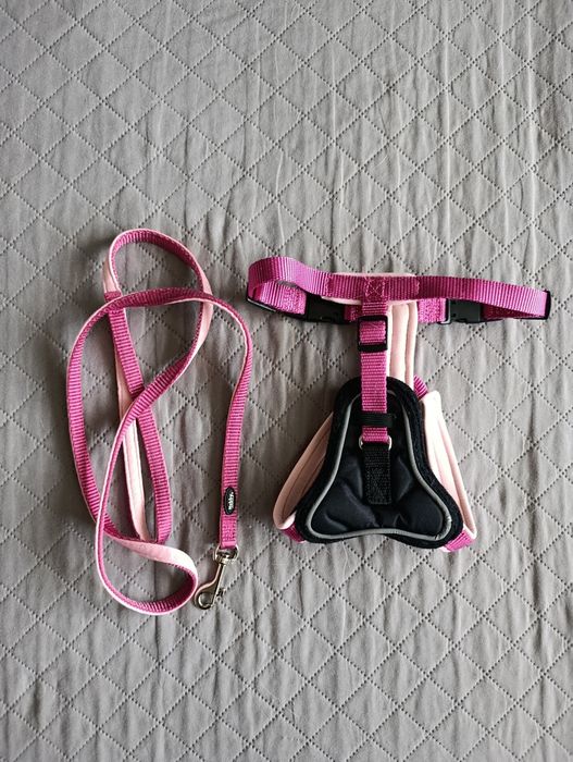 Нагръдник с повод S /M, шишета за вода и зимно яке