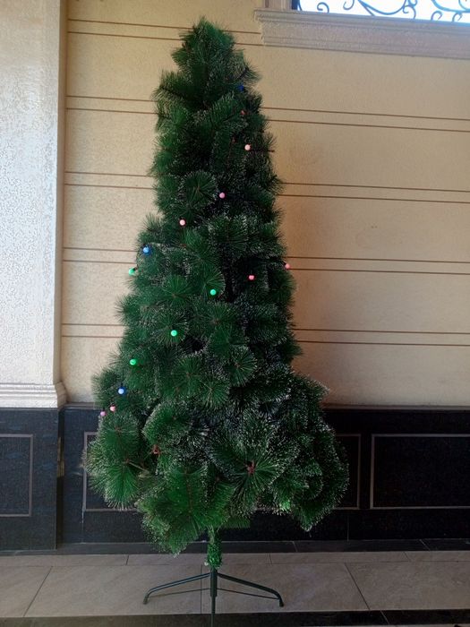 Archa sotaman bonus ham bor