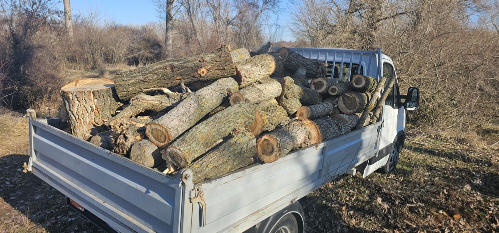 Дърва за огрев 161 ЛВ