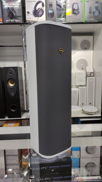 Настенная Потолочная акустика в широком ассортименте.