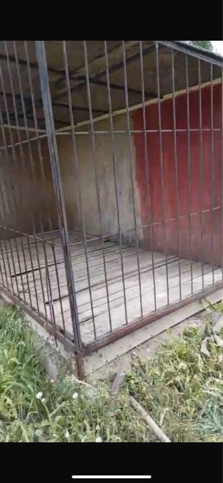 Варье для собаки большой