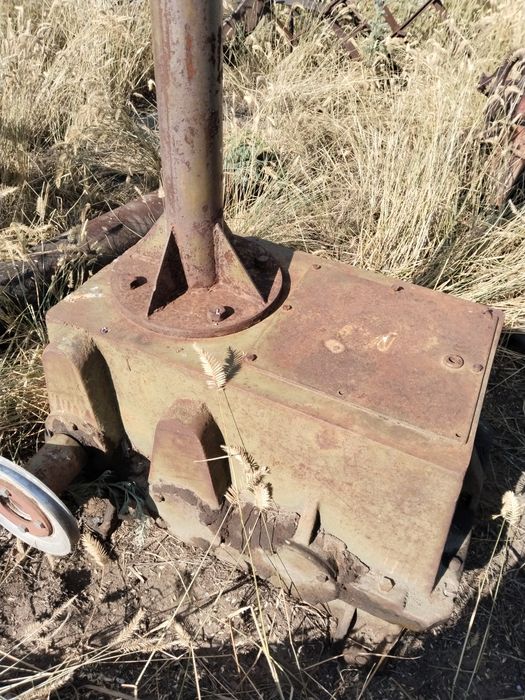 Бөкселердің жақыннан түсірілген фотосуреттері