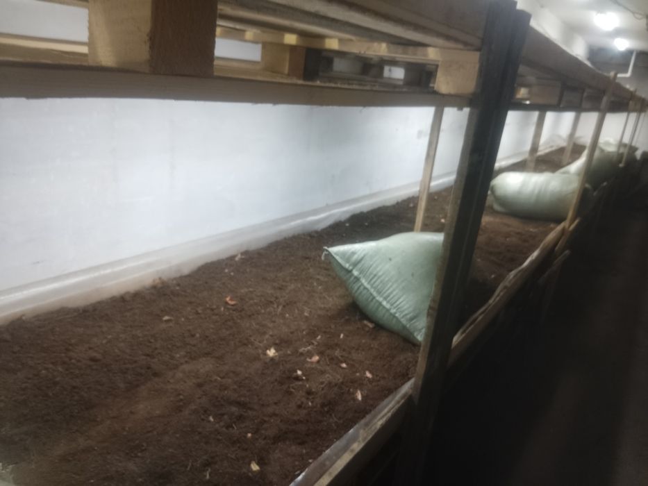 Грунт в мешках удобренный