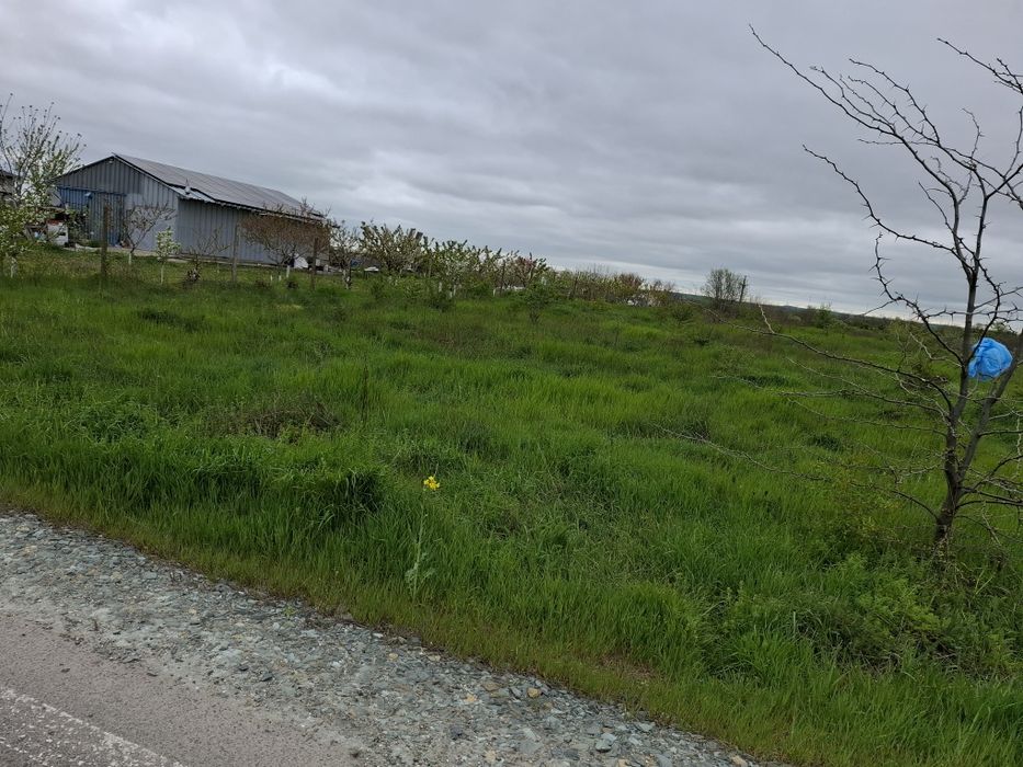 Teren intravilan 2000mp Cernavodă