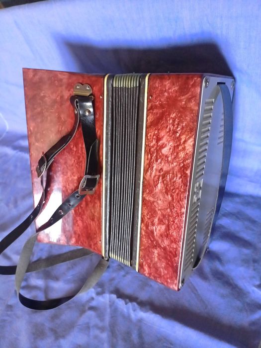 Акордеон за юноши