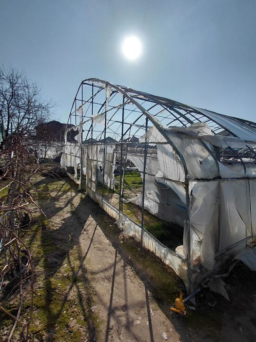 Теплица сатылады