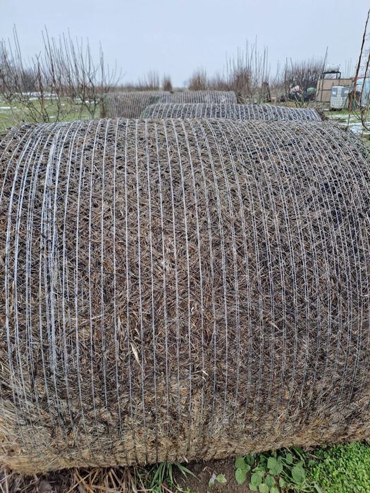 Vand Baloti Lucerna Coasa 1