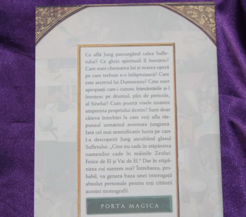 Problema Puer Aeternus  Marie-Louise von Franz Visul activ Psihologie