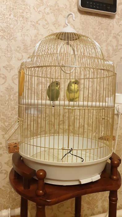 Кормушка для попугая