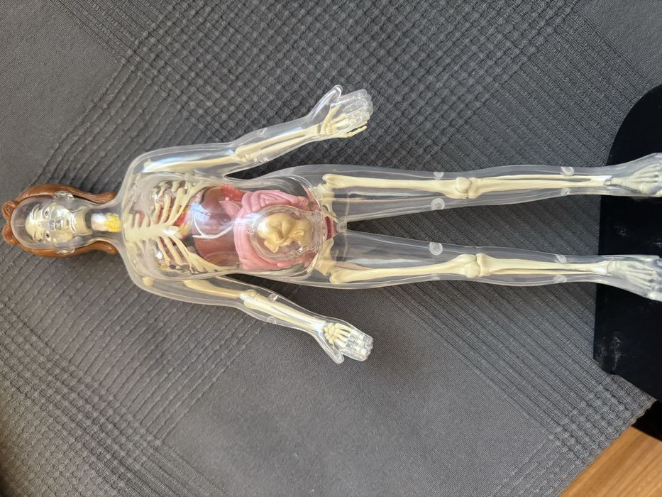 Cartii plus doua manechine barbat si femeie pentru copii corpul uman