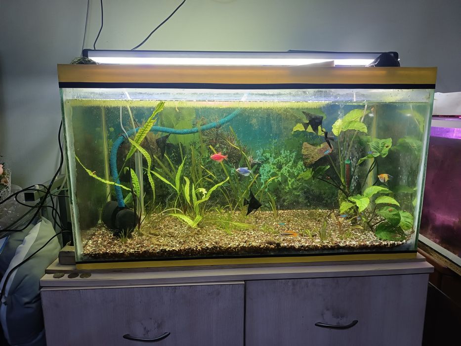 Продам аквариум 200 л