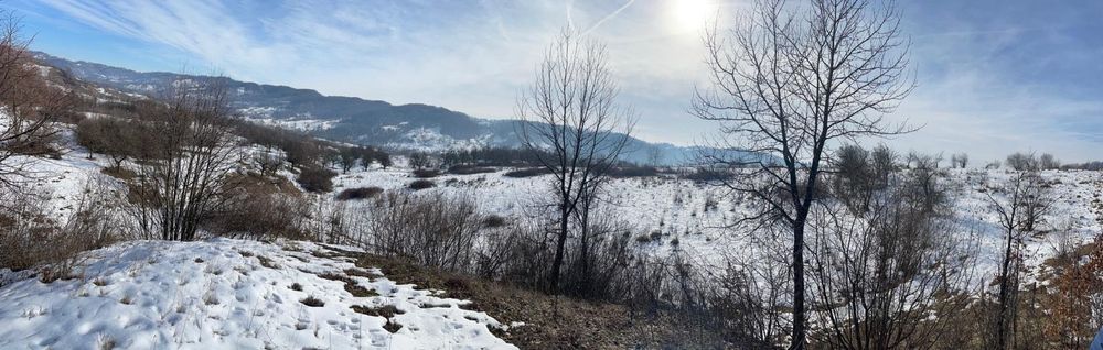 Teren intravilan 60000 mp Raul Alb