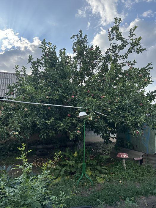 Продам частный дом