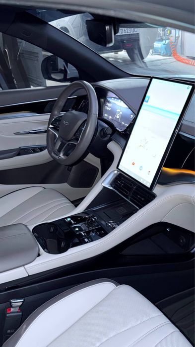 Other Song Pro DM-i Champion 2024 — 7