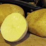 Продам семена картофеля