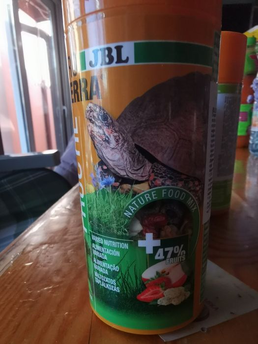 Храна за сухоземни костенурки