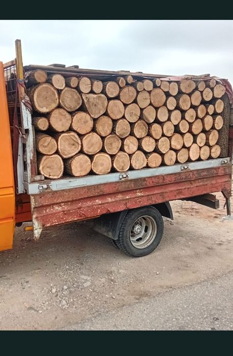 lemn de foc esență tare