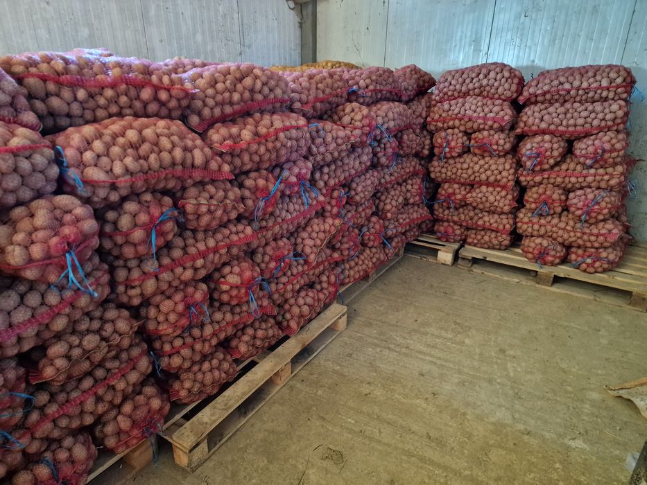 Cand cartofi de samanta