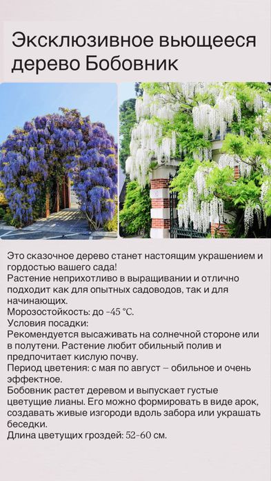 Плодовые и цветущие деревья и кустарники