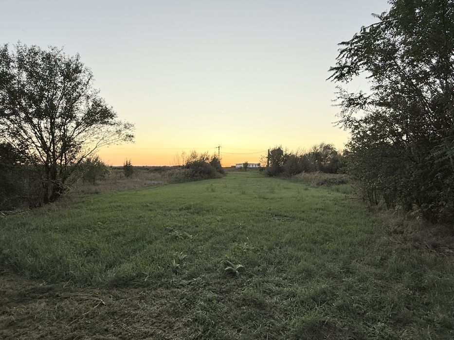 Teren intravilan plus hala