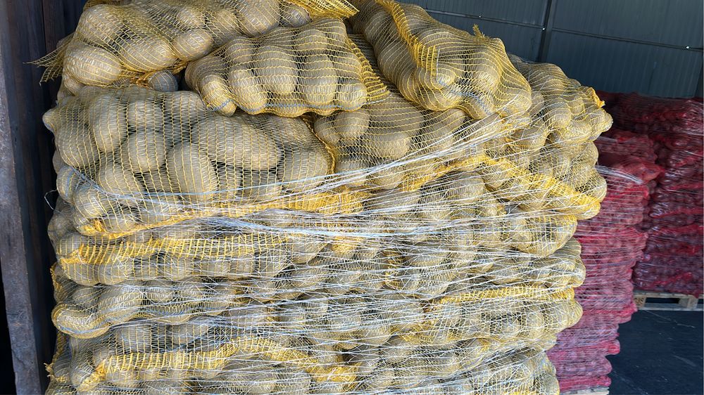 Cartofi samanta carera si riviera