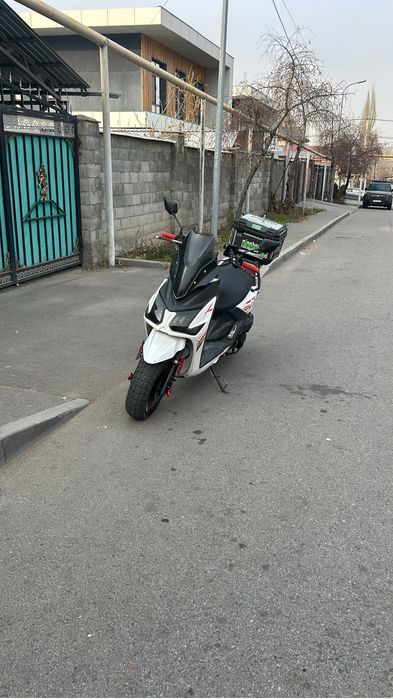 Самураи мопед лиа