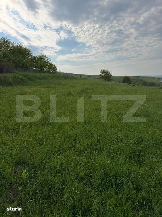 Teren Intravilan, 20 ari, Moara, Bulai