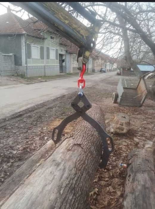 Cleste de tras lemne din pădure sau ridicat busteni