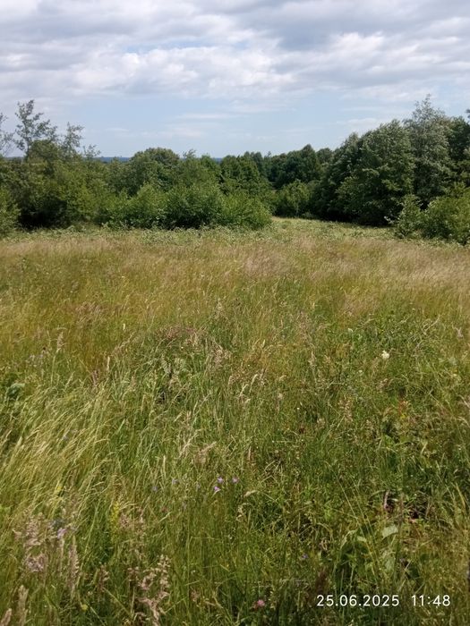 Vând teren extravilan