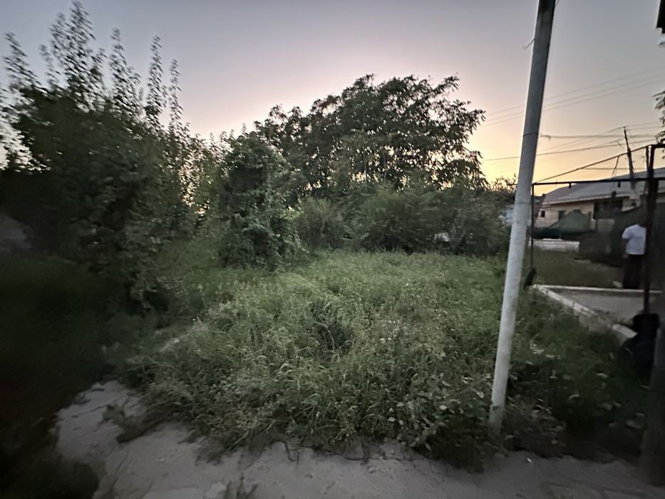 Dacha sotiladi arzon narxda