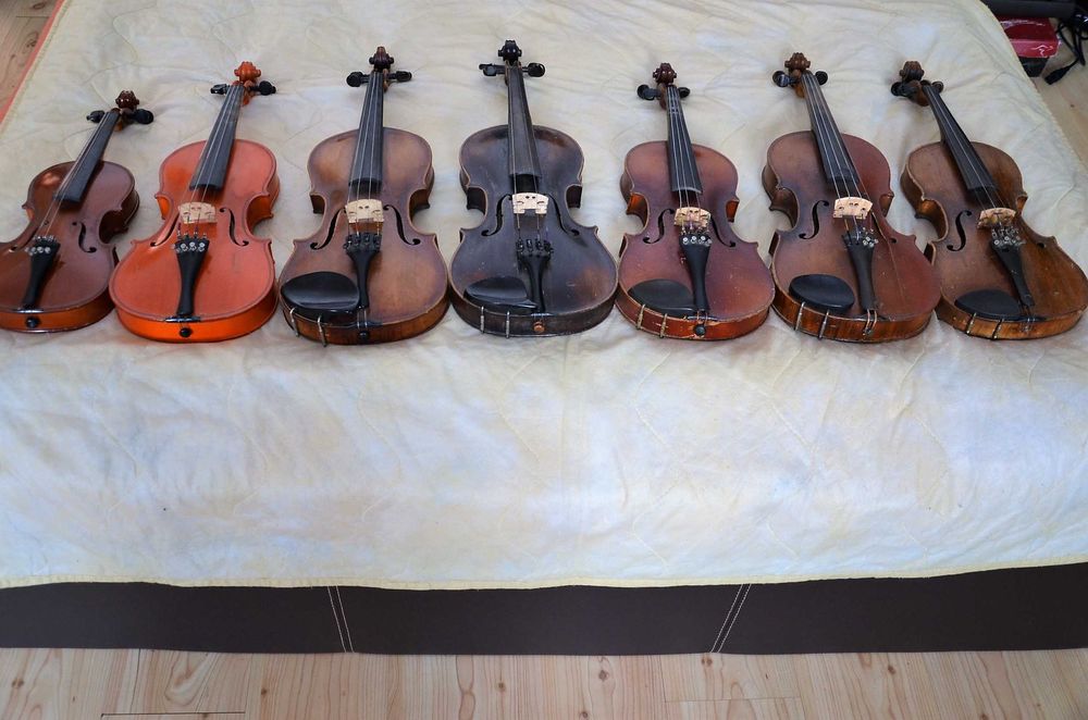 vand viori si arcusuri