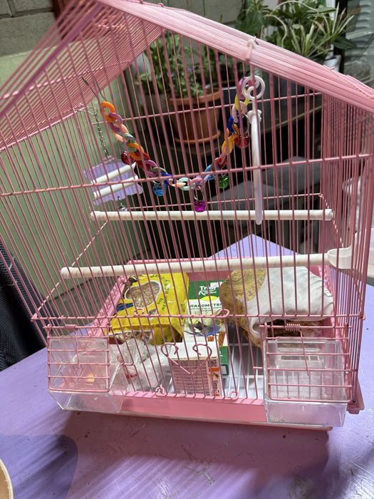 Клетка для папугая