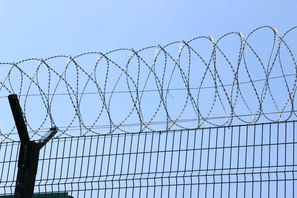 Bruno sim Baryer Egoza (ishlab chiqarish) Buyurtma olamiz