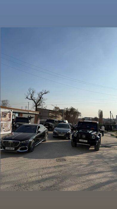 Картеж Kortej toy va radom chirchik 888