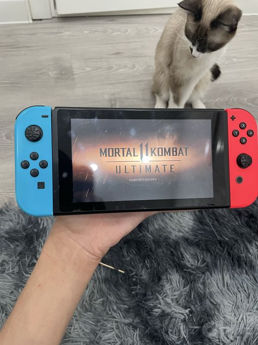 Nintendo switch