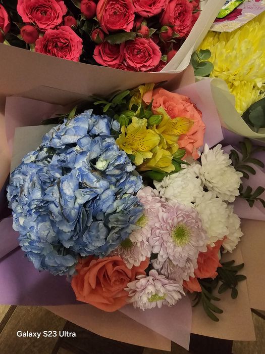 Продам цветы не дорого!