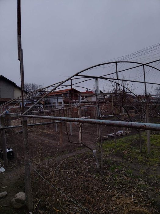 Ферми за оранжерия