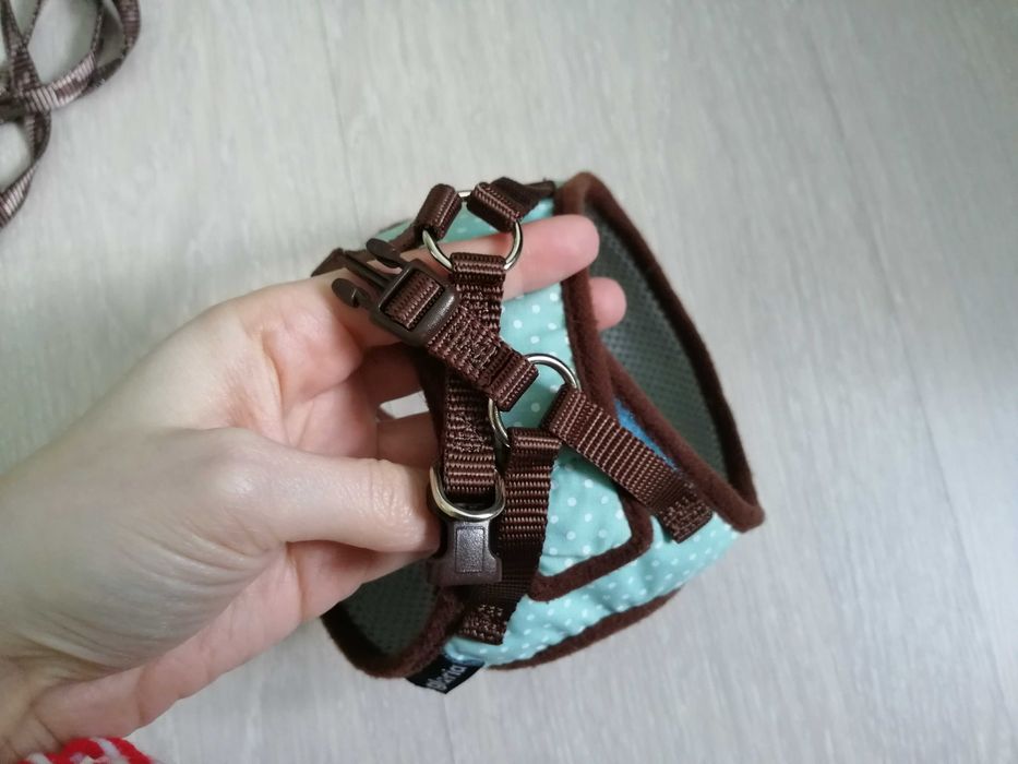 Нагръдник и повод за декоративна порода куче - безплатна доставка